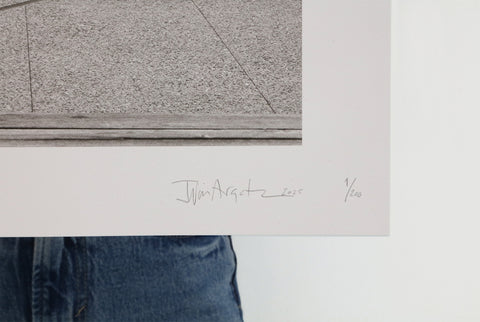 Dinosaur, 2025  – Limited Edition Lithograph