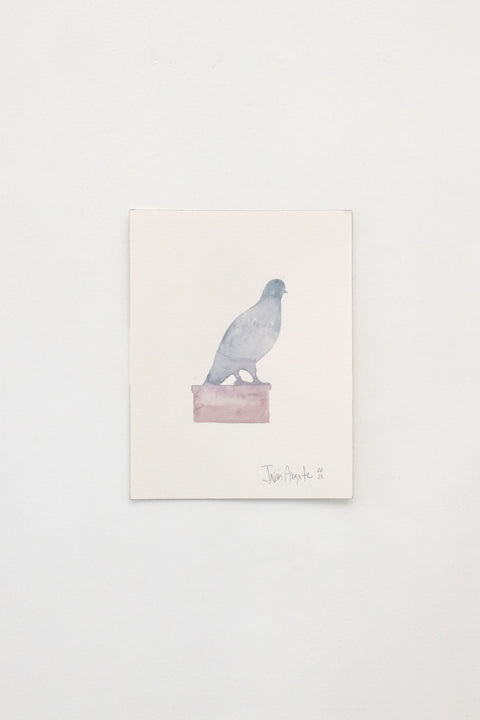 Dinosaur - Limited Watercolor Edition