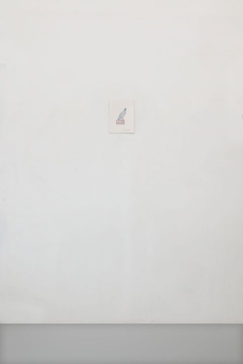 Dinosaur - Limited Watercolor Edition