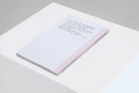 23/25 Studio Iván Argote Biennial Review