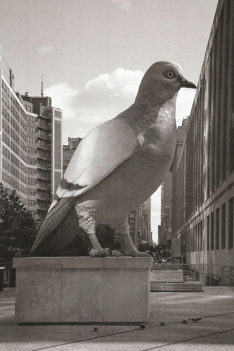 Dinosaur  – Limited Lithograph Edition