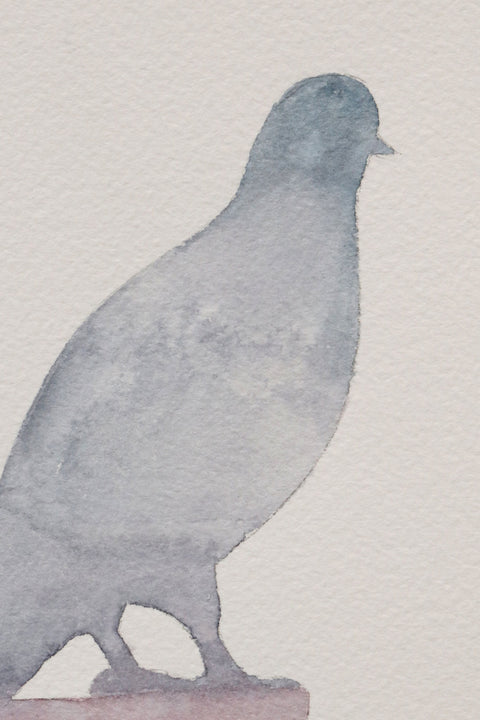 Dinosaur - Limited Watercolor Edition